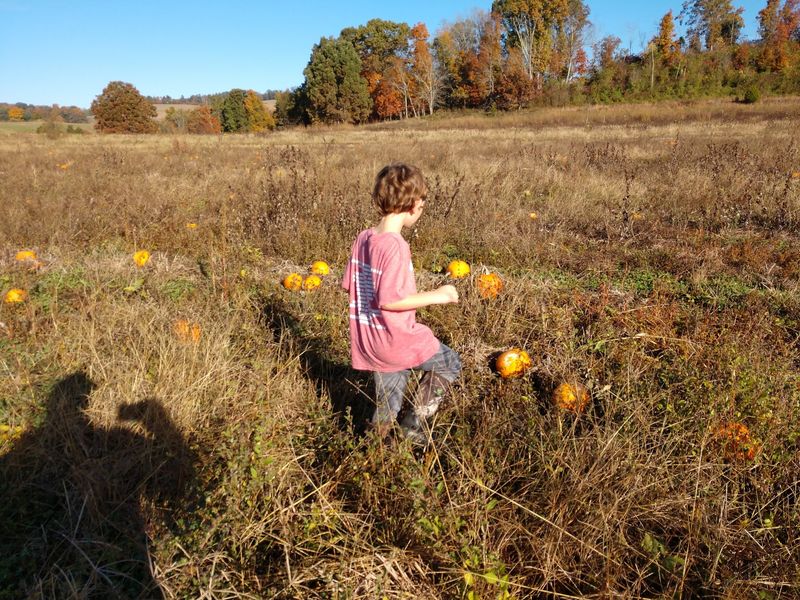 Davidson Farms
