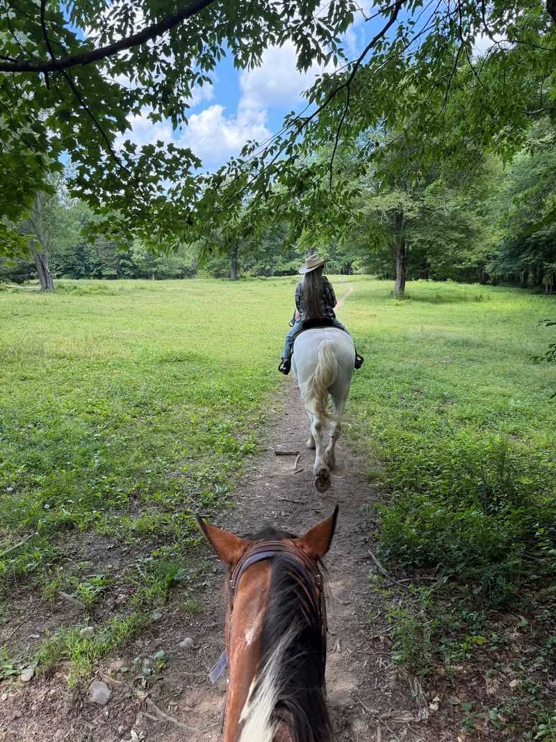 Plan Your Trip To This Hudson Valley Horse Haven