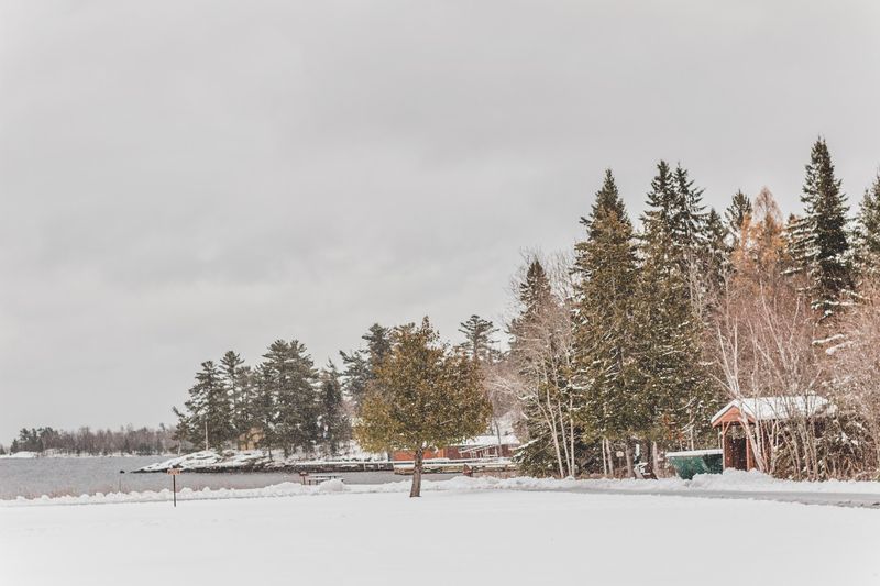 Four Seasons Of Lake Magic