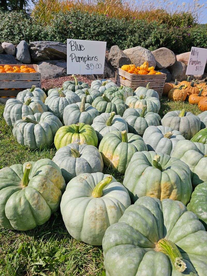 Why This Family Farm Belongs On Your Fall List