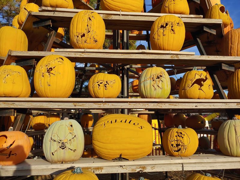 Cornbelly's Corn Maze & Pumpkin Fest