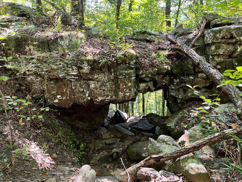 Rocks With Personality Along The Path