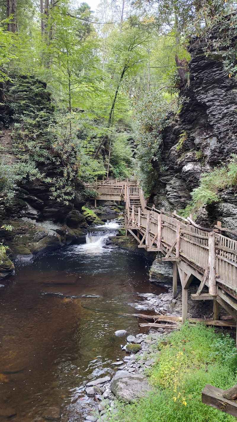 Plan Smart And The Whole Park Opens Up