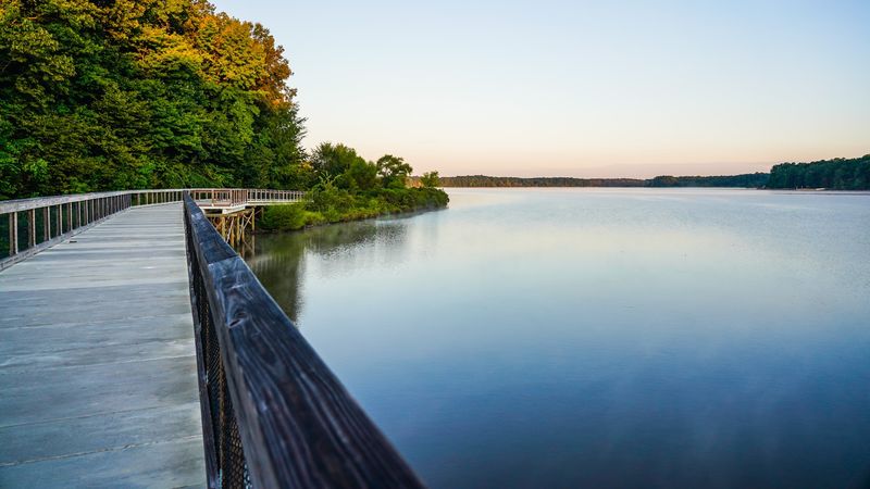 The Boardwalk Trail Is Short, Sweet, And Full Of Surprises