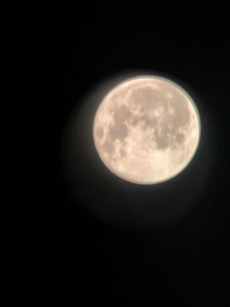 Meteor Showers And Moon Nights