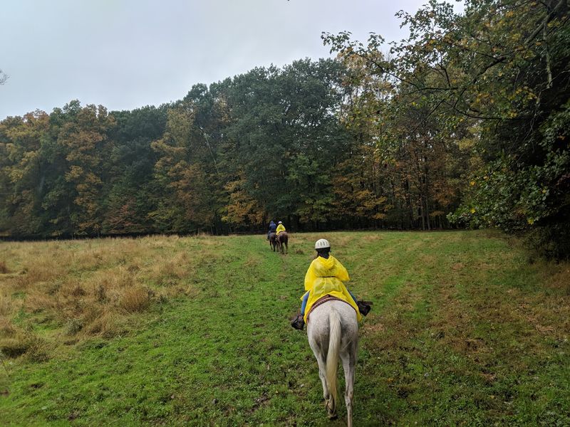 Autumn Turns These Trails Into Pure Color