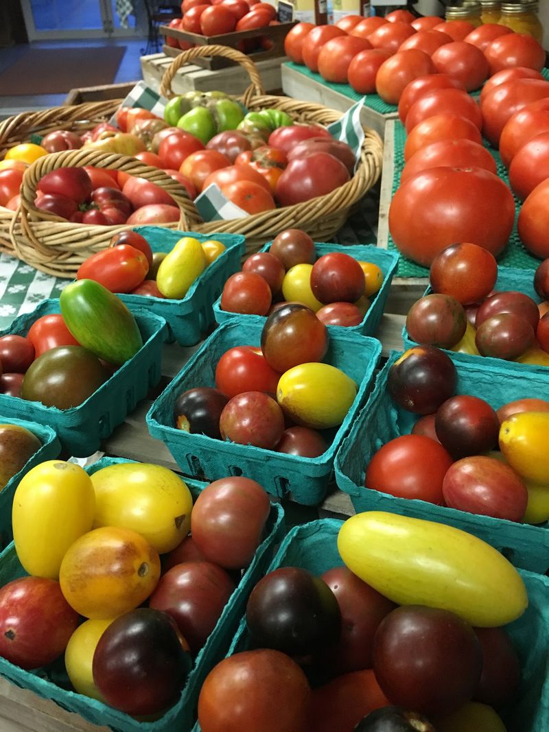 Saunderskill Farm Market - Accord