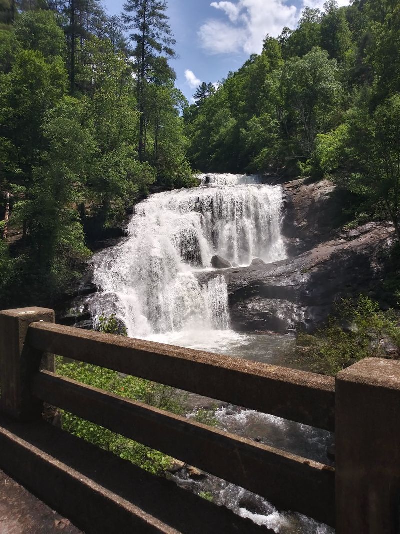 Tellico Plains
