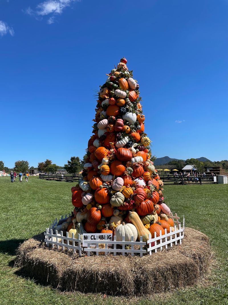 Oakes Farm