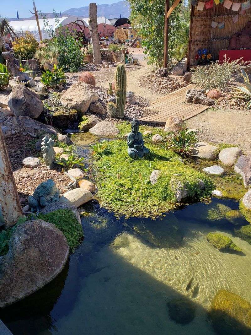 Water-Wise Gardening With A Purpose