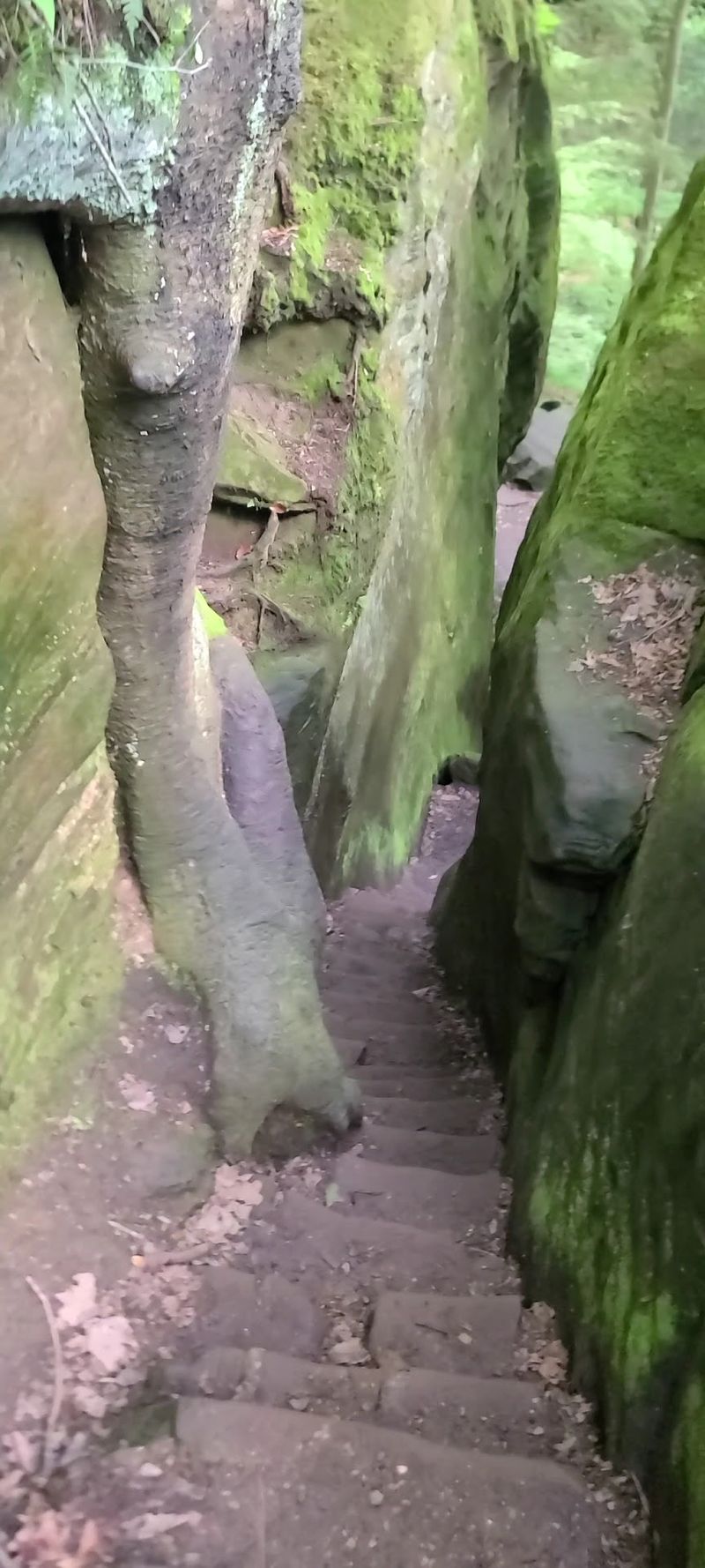The Famous Fat Woman's Squeeze