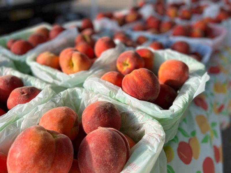 Hernando Farmers Market, Hernando, MS