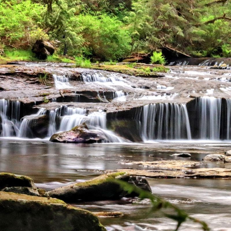 Sweet Creek Falls, Mapleton