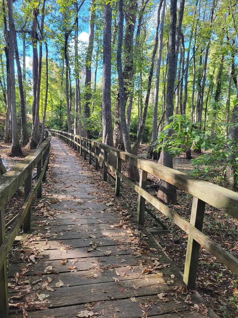 Cypress Swamp, Canton, MS