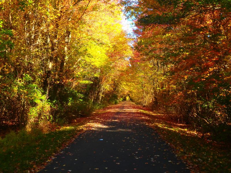 Fall Colors Steal The Show