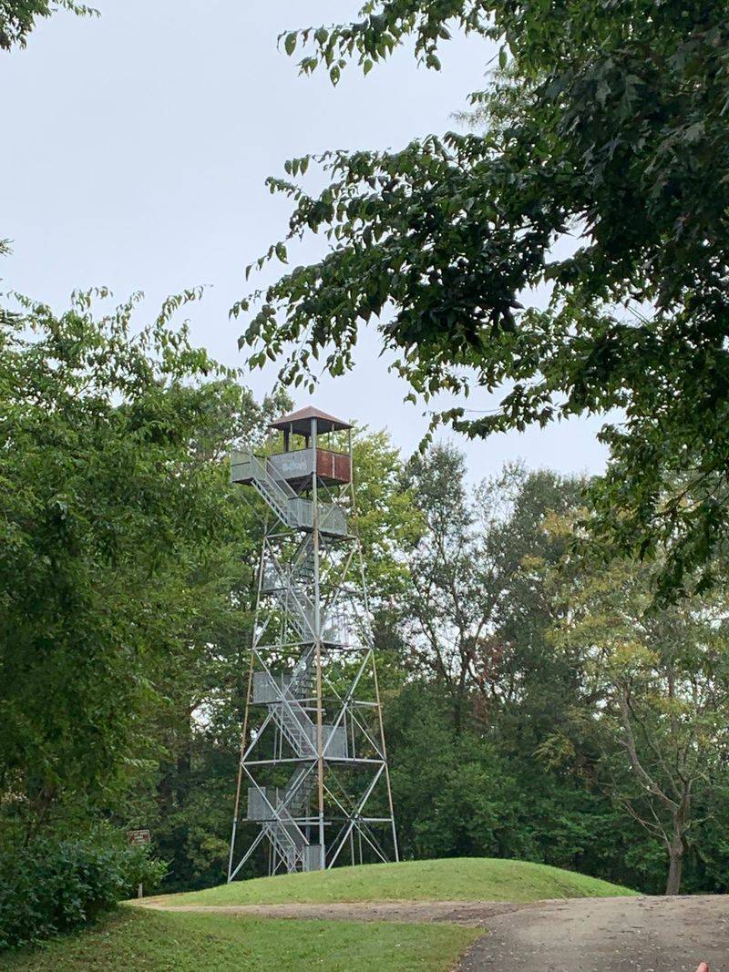 The View From the Fire Watch Tower