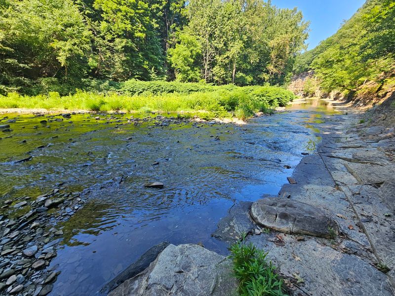 Eighteenmile Creek Conservation Park