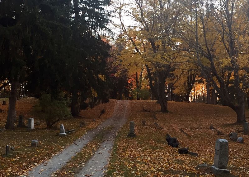 Nunica Cemetery, Nunica, MI