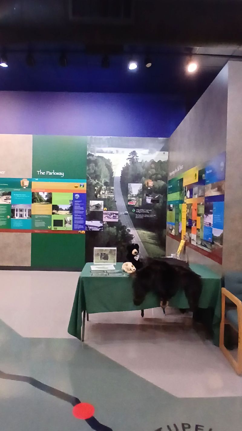 Natchez Trace Parkway Visitor Center