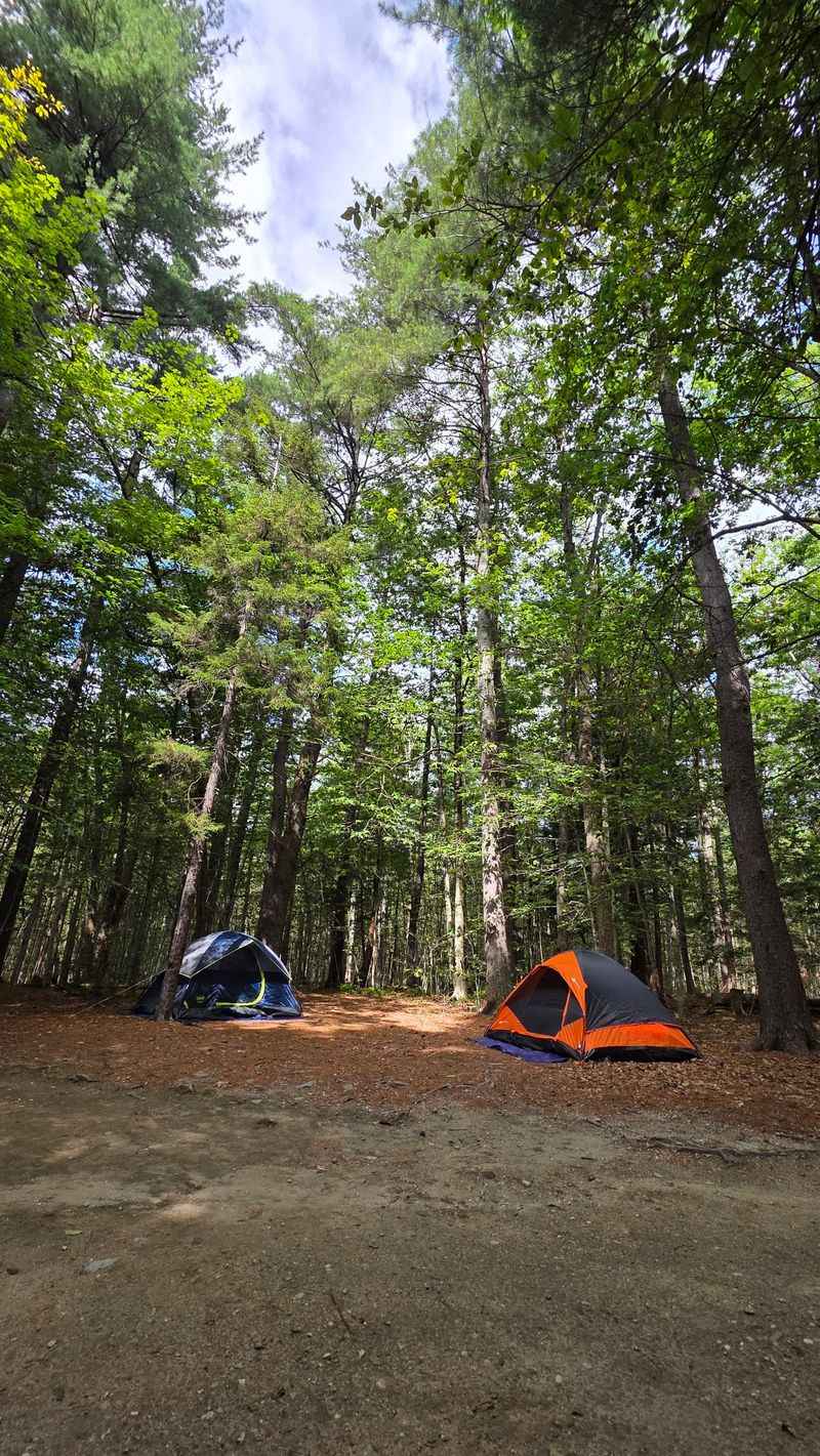 DAR State Forest