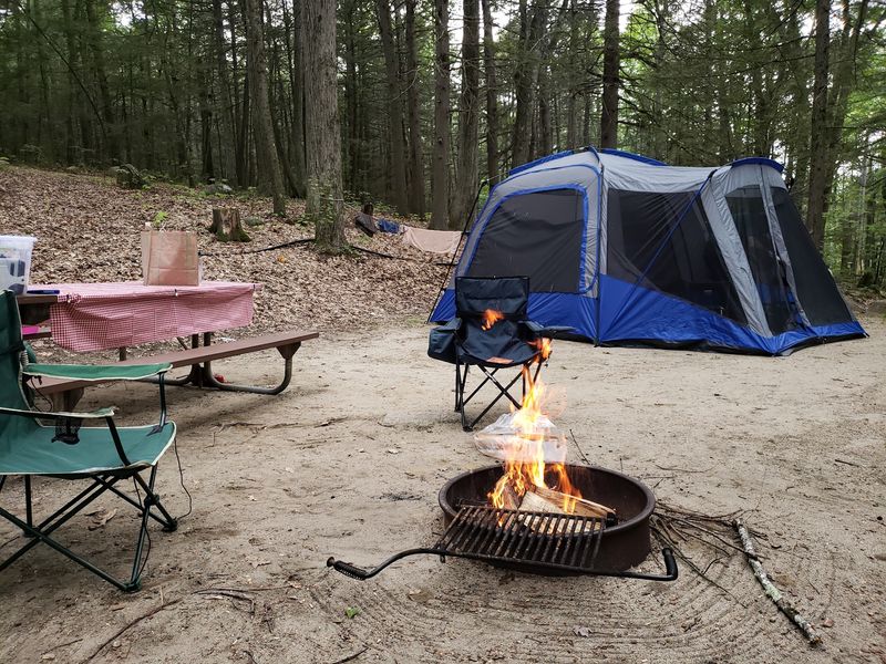 Erving State Forest