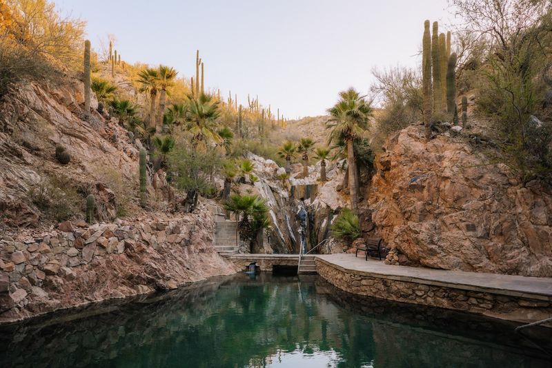 Three Pools, Three Temperatures, Zero Bad Choices