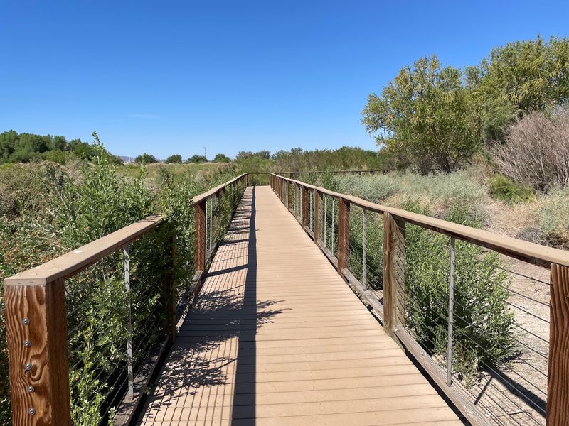 Henderson Bird Viewing Preserve