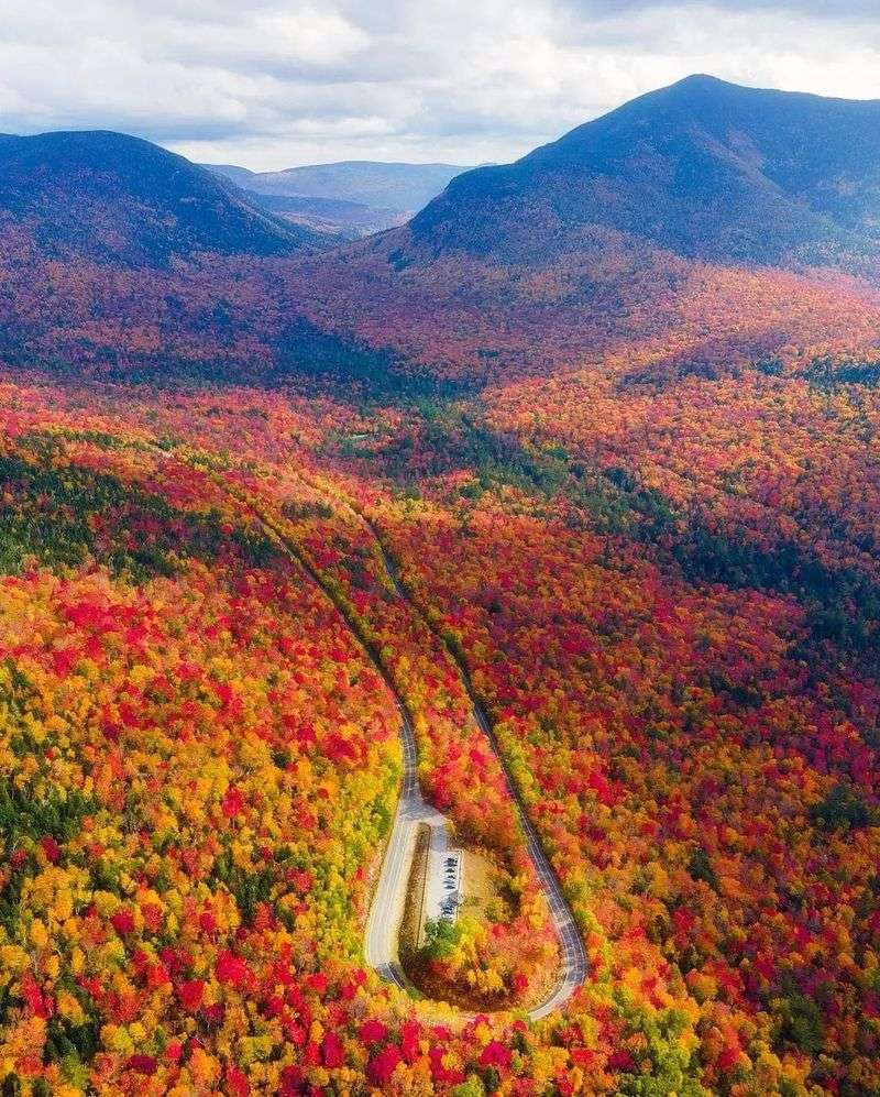 A Road With Roots Deeper Than The Maples