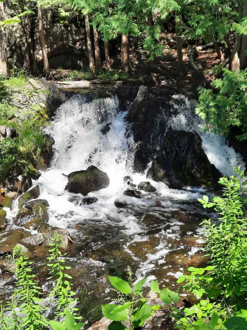 Morgan Park Adds Camping, Swimming, And Picnics To Your Day