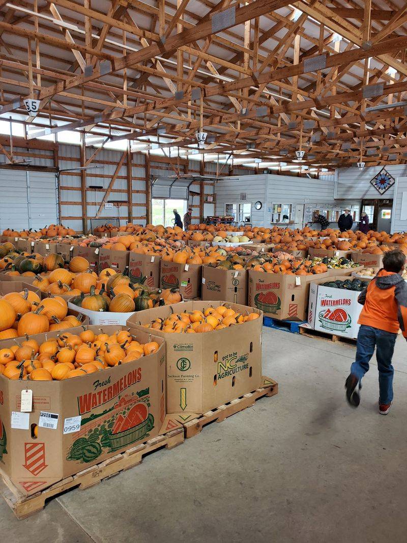Why This Fall Tradition Is Worth Your Time