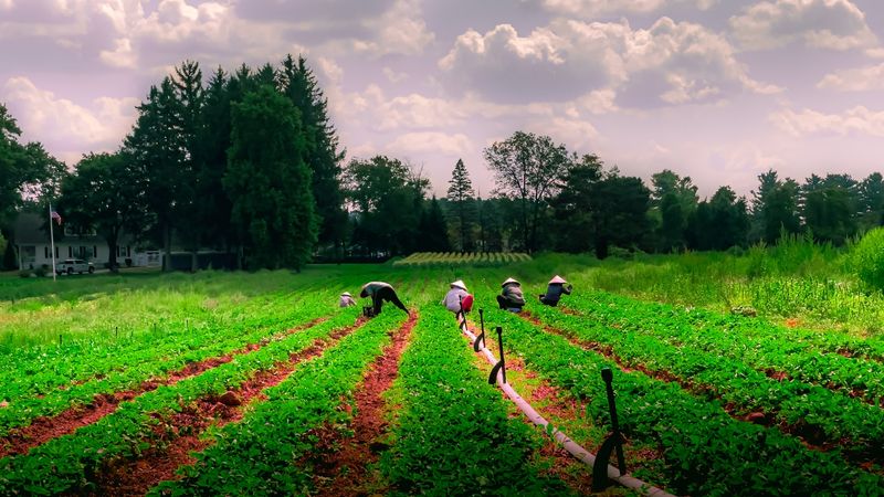 Smart Growing Habits Happen Behind The Scenes
