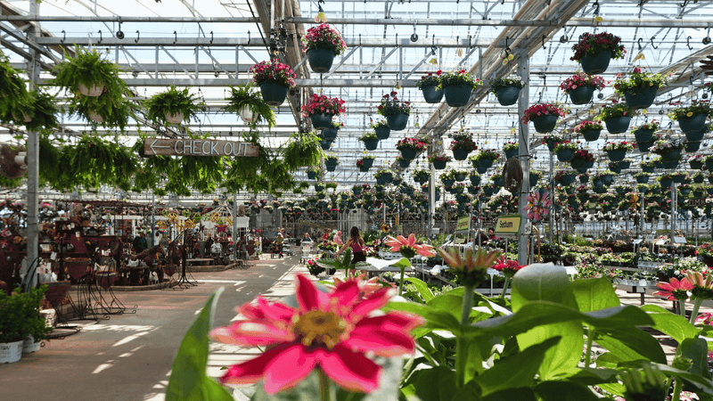 The Holiday Market Packs Heated Greenhouses With Local Makers