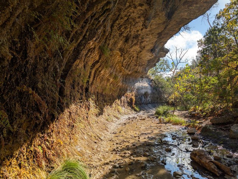 Welcome To The Canyon That Keeps Ice Age Trees