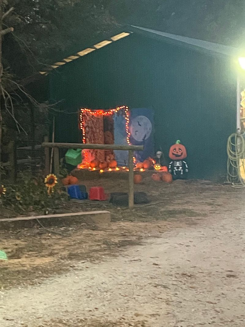 Picnics and Spooky Seasonal Fun