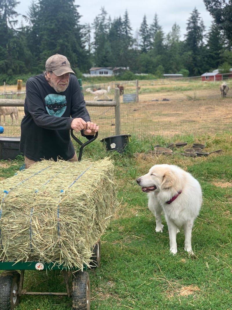 Volunteers Keep The Barn Humming