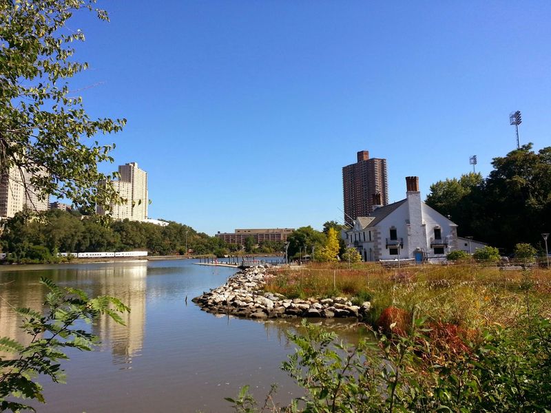 A Real Salt Marsh Brings Wildlife Right To Your Feet