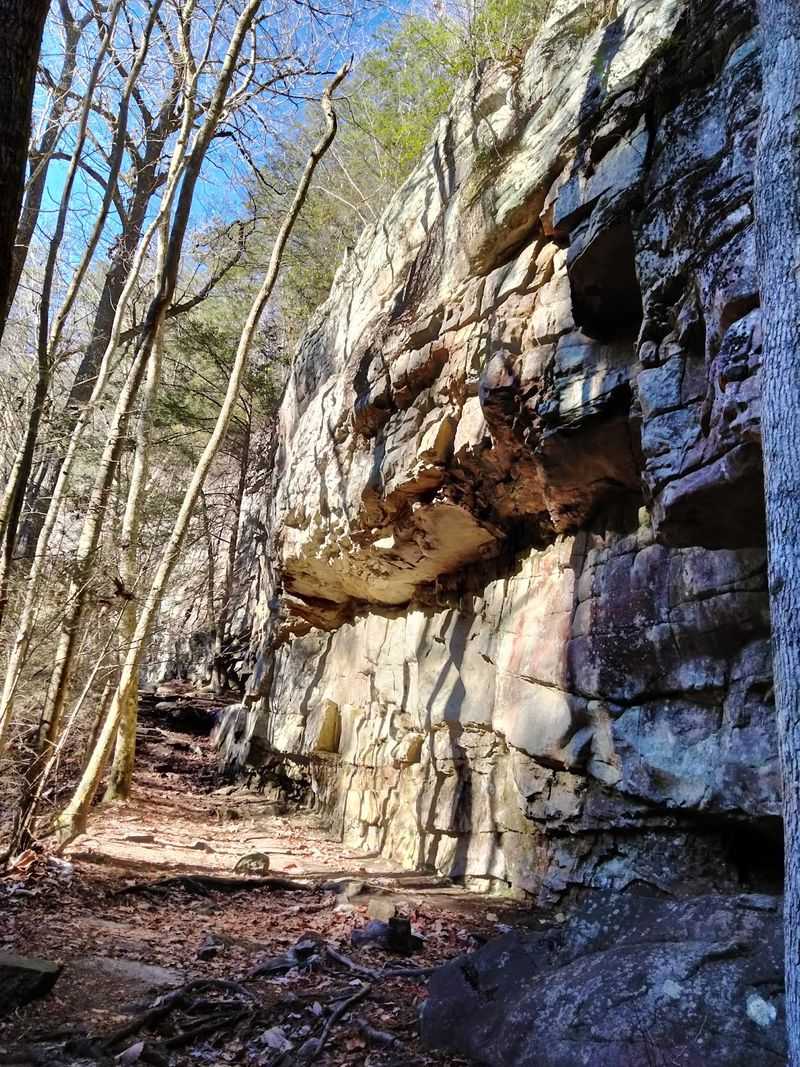 Fiery Gizzard State Park
