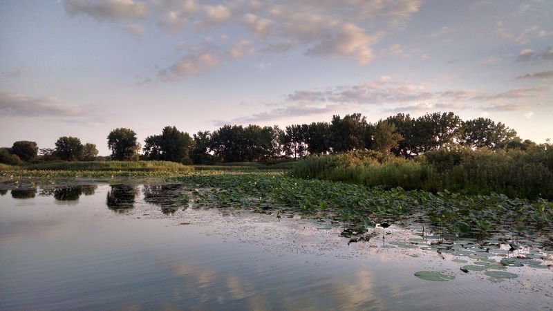Paddlers Get The Calm Water Everyone Else Envies
