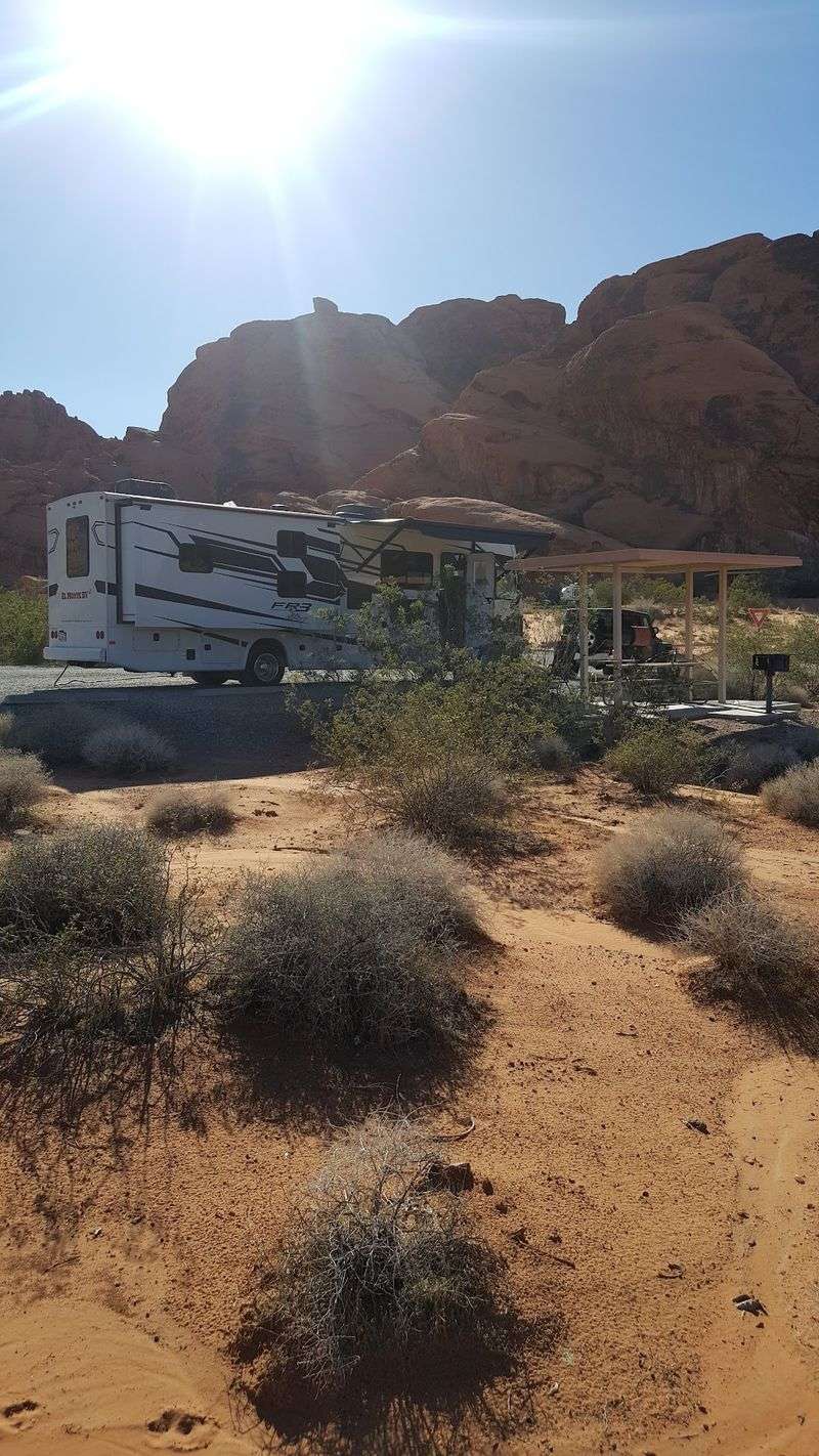 Your Campsite Comes With Shade, Fire, And Water