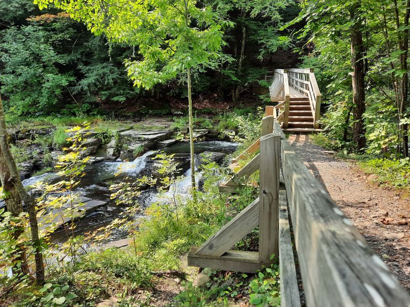 Huyck Preserve