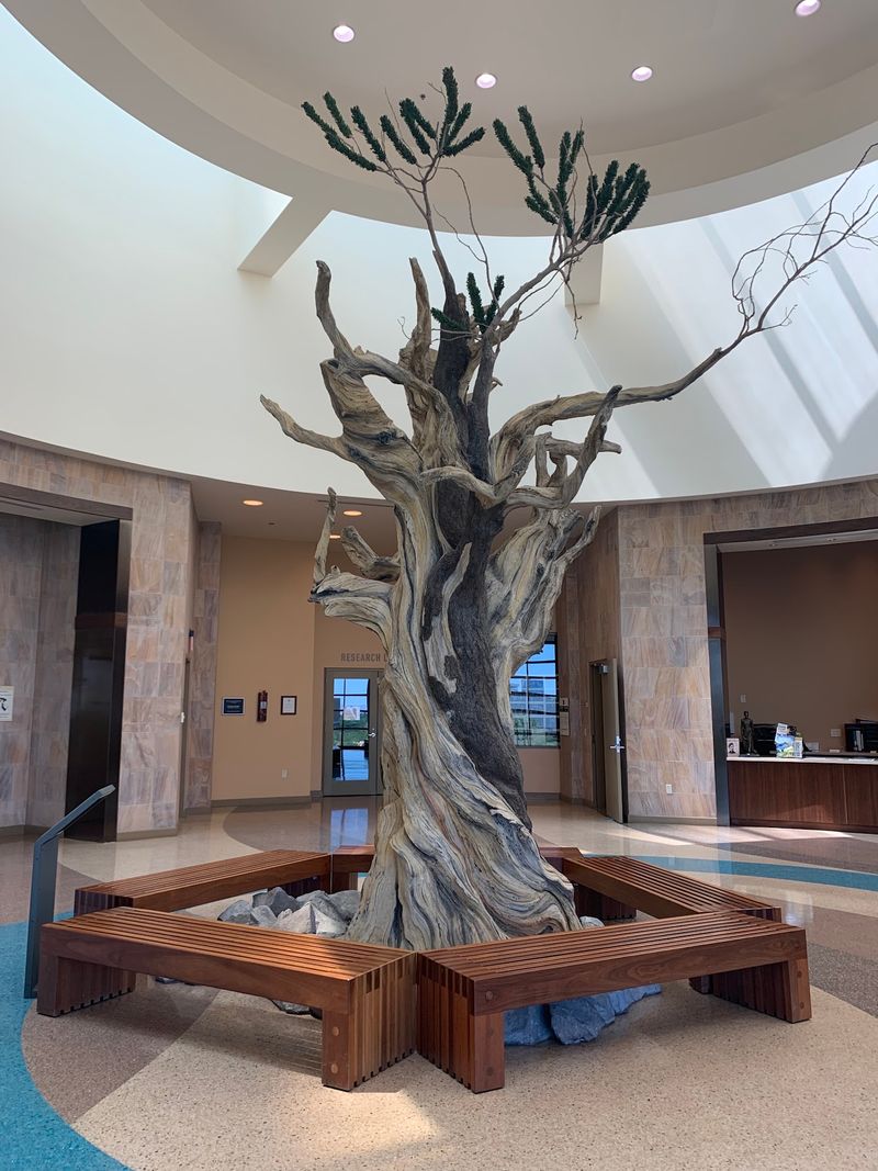 A Desert Oasis Hiding Right Off Valley View Boulevard
