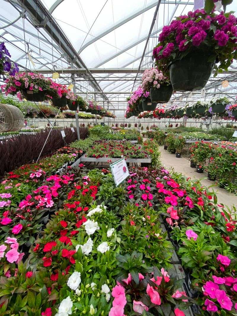 Plant Lovers Should Budget Extra Time In The Greenhouse