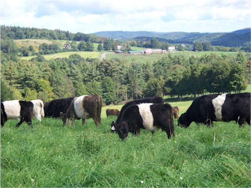 Wheel-View Farm