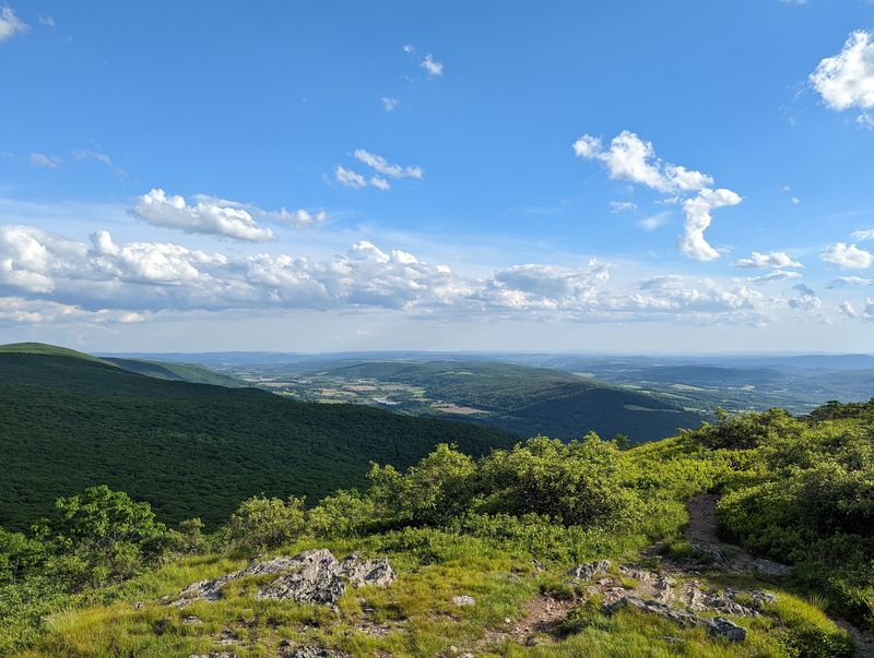 Mount Washington State Forest