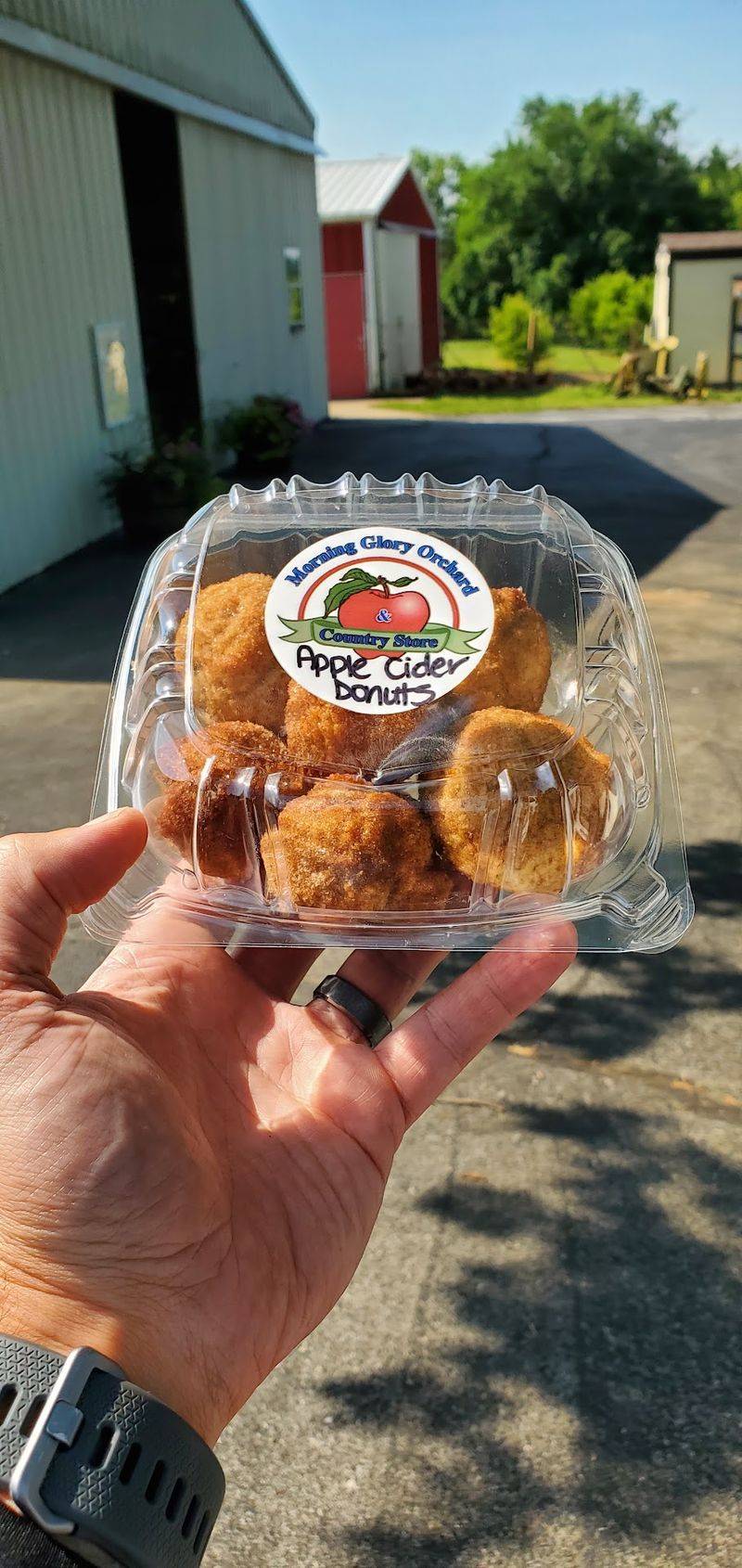 Smart Timing Makes Your Orchard Trip Way Sweeter