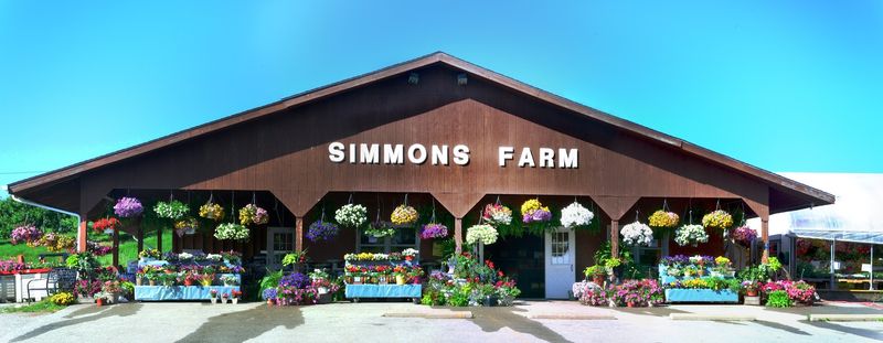 Simmons Farm
