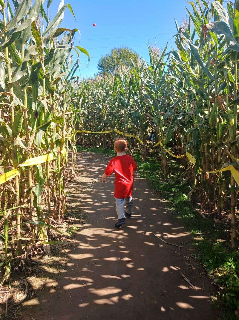 A Mini Maze Made For Little Explorers