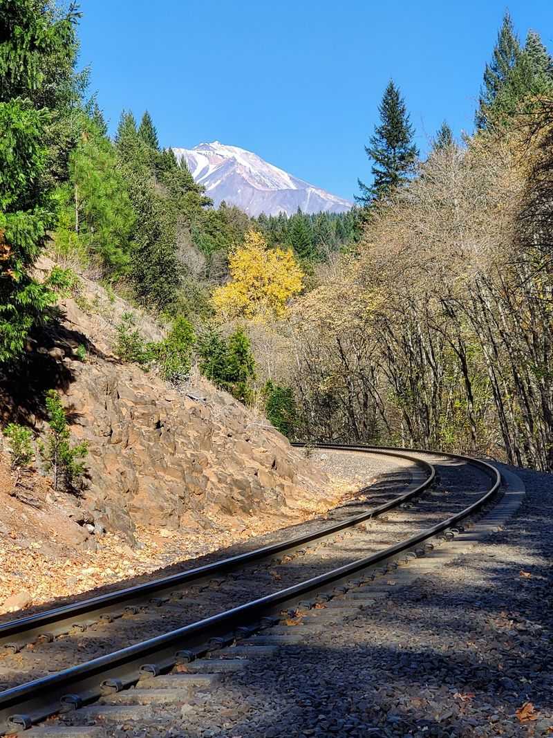 Trains Still Rumble Through The Heart Of Town