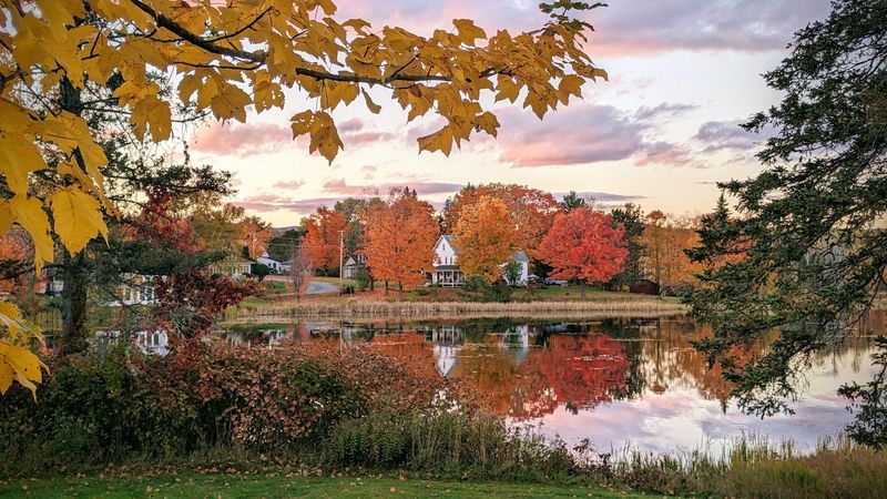 Claim A Cozy Cabin And Stay Until The Last Leaf Falls