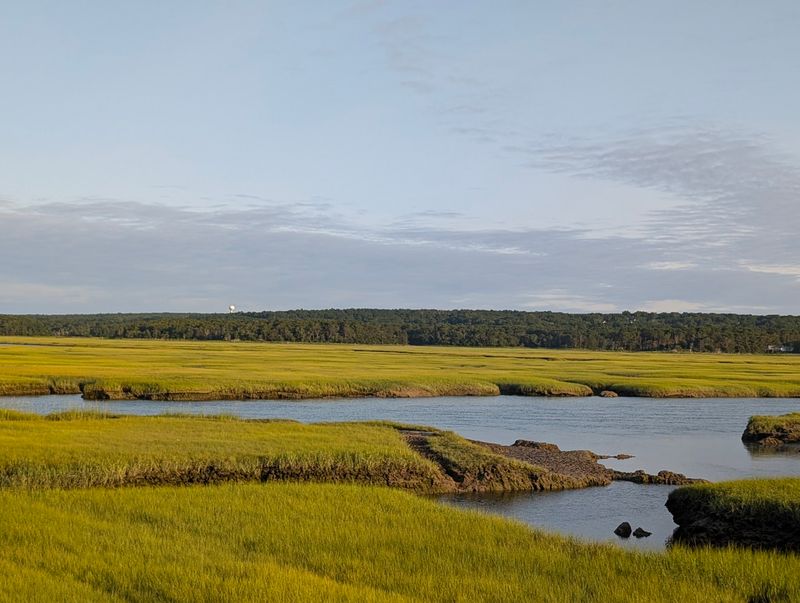 A Marsh That Changes Its Outfit Every Season